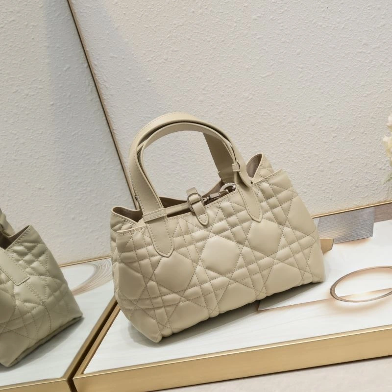 Efficient Christian Dior Shopping Bags 87732