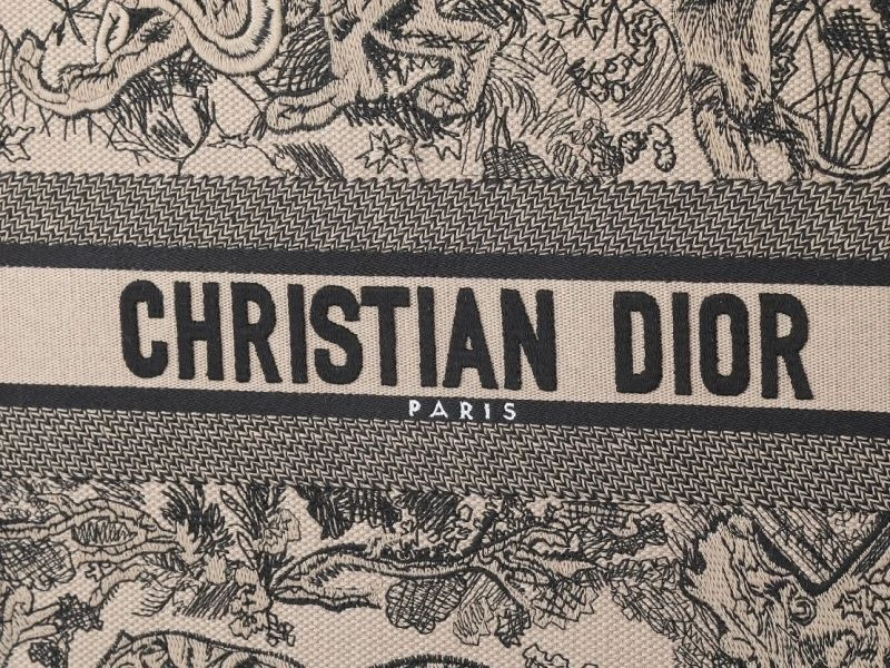 Premium Christian Dior Shopping Bags 87638