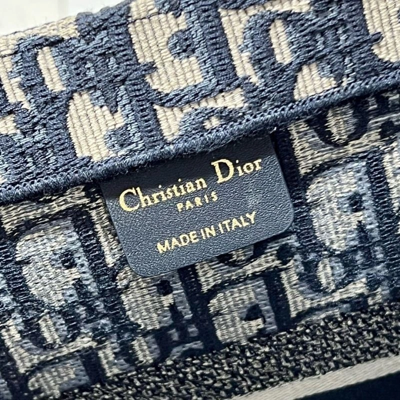 GoAnywhere Christian Dior Shopping Bags 76245