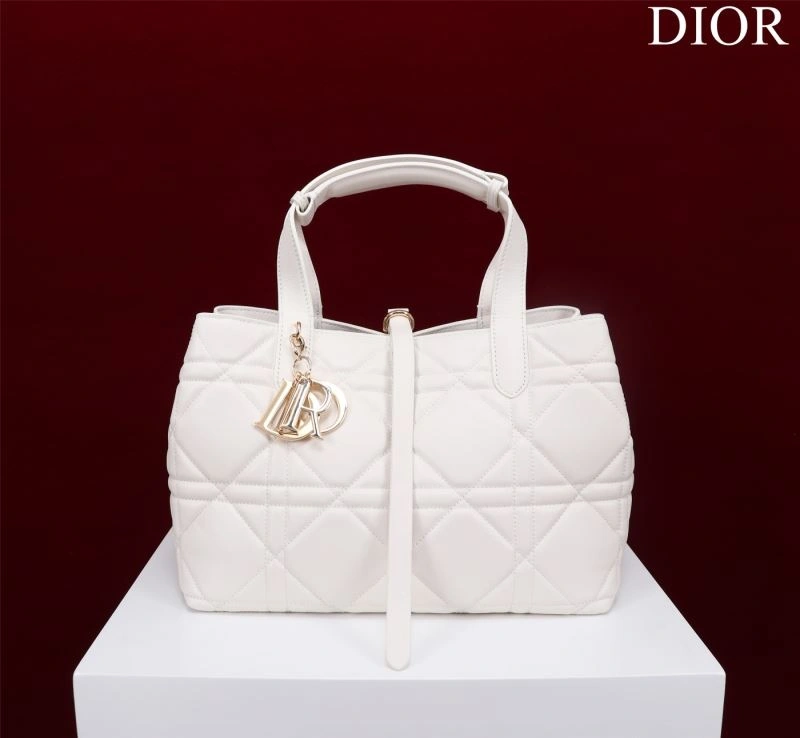 DailyWear Christian Dior Shopping Bags 76241