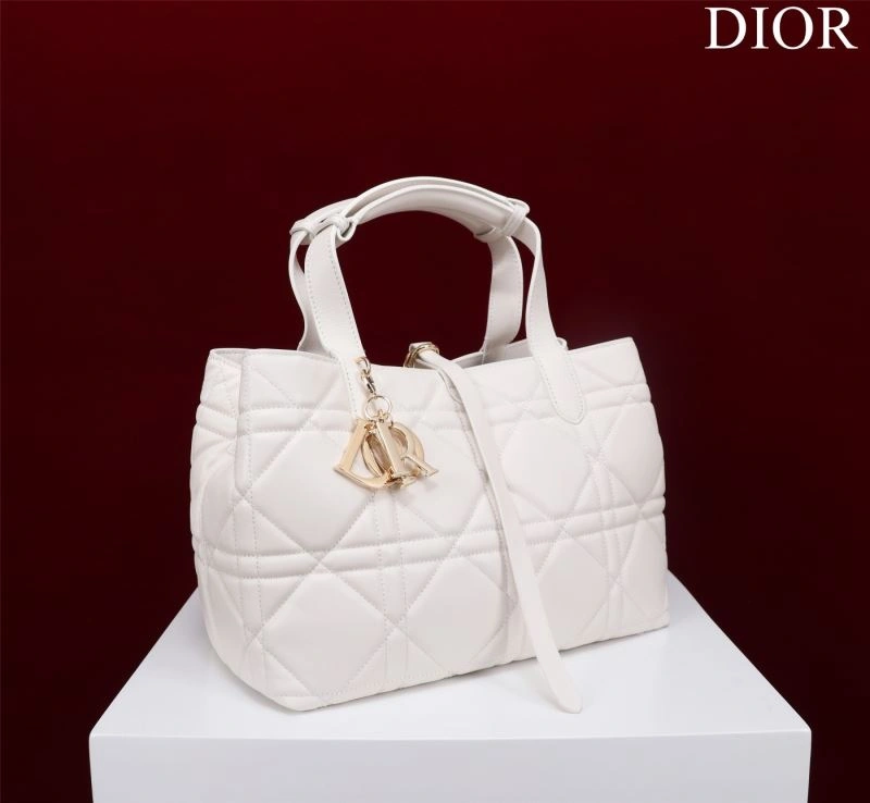 DailyWear Christian Dior Shopping Bags 76241