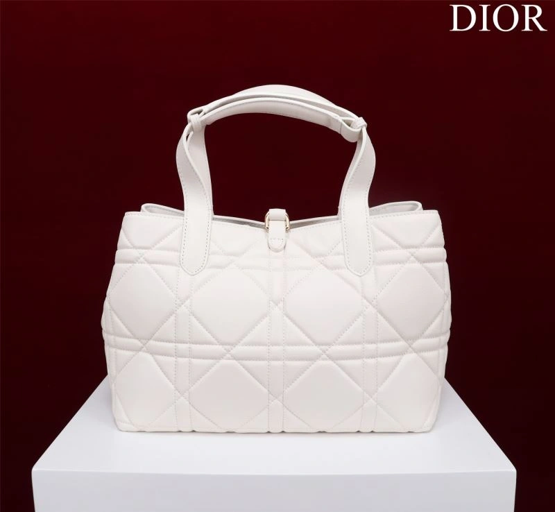 DailyWear Christian Dior Shopping Bags 76241