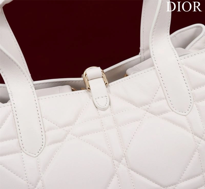 DailyWear Christian Dior Shopping Bags 76241