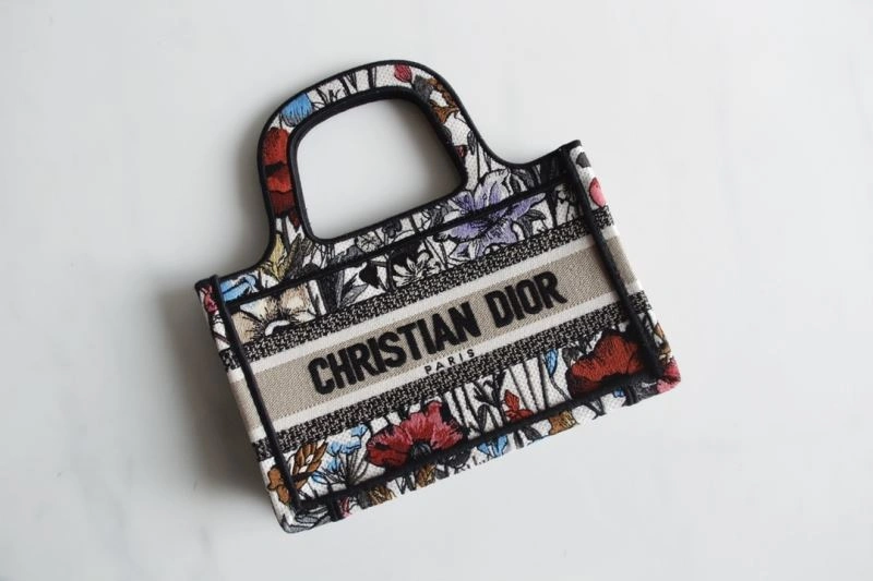 Lightweight Christian Dior Shopping Bags 76268