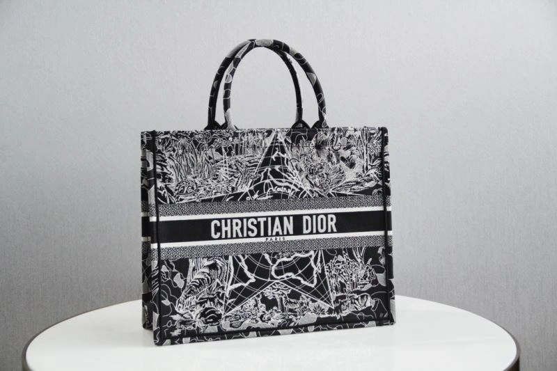 Minimalist Christian Dior Shopping Bags 76234