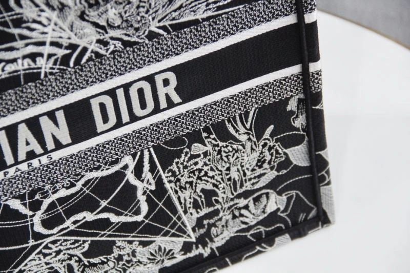 Minimalist Christian Dior Shopping Bags 76234