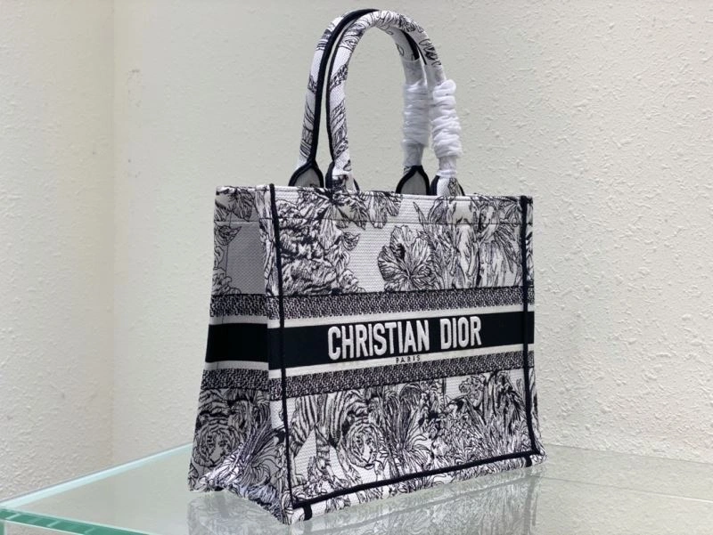 DailyWear Christian Dior Shopping Bags 76210