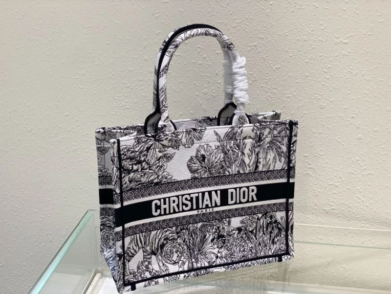 DailyWear Christian Dior Shopping Bags 76210