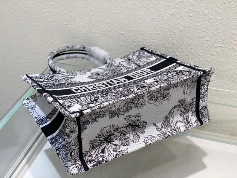DailyWear Christian Dior Shopping Bags 76210