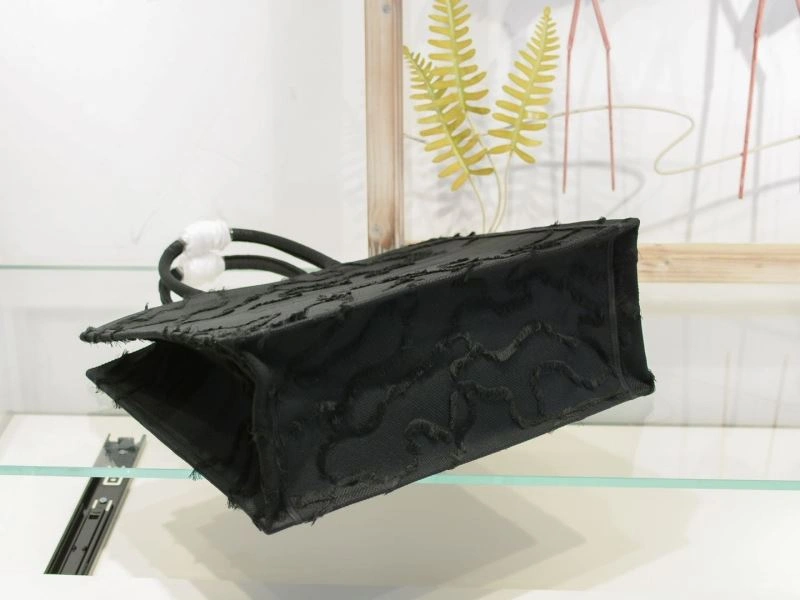 Christian Dior Shopping Bags Packable 76221