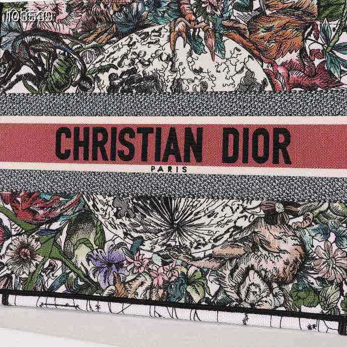 Reliable Christian Dior Shopping Bags 76199