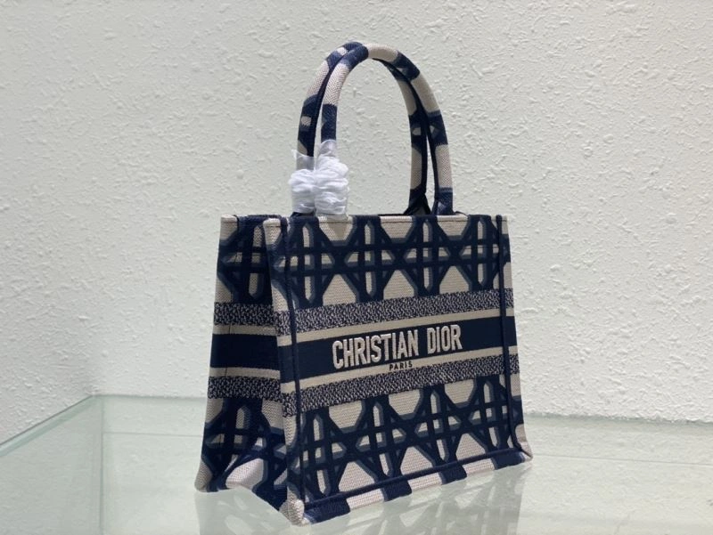 Trendy Christian Dior Shopping Bags 75612