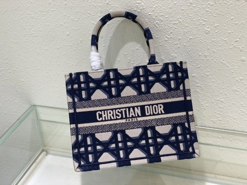 Trendy Christian Dior Shopping Bags 75612