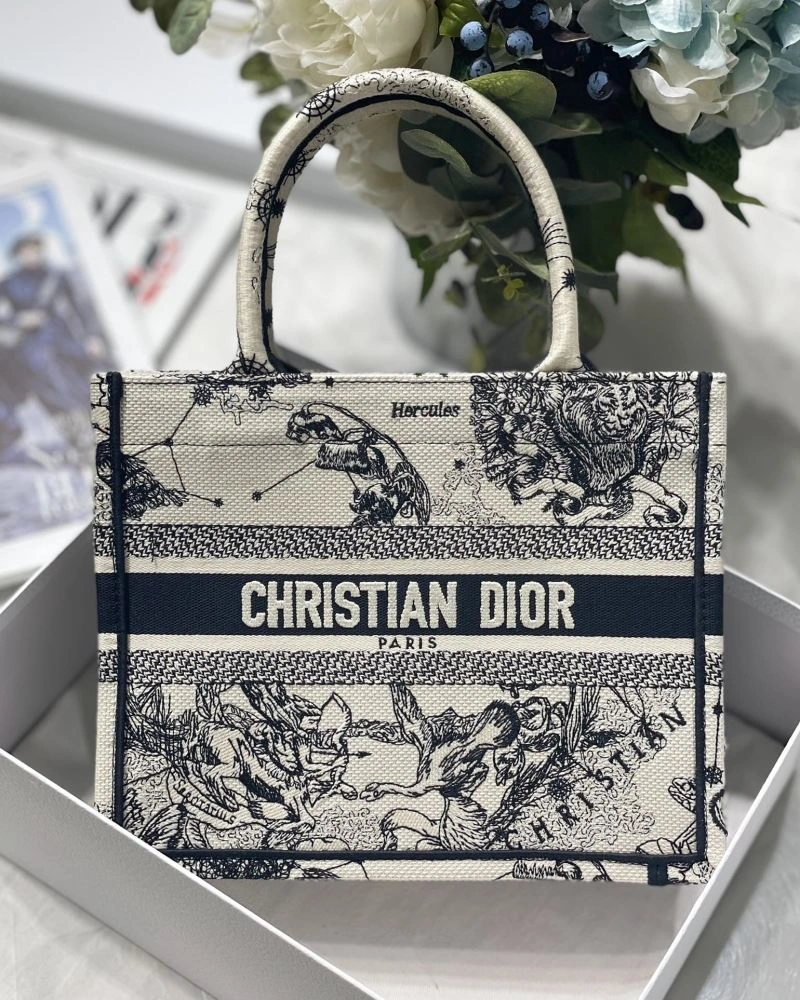 Neat Christian Dior Shopping Bags 75608