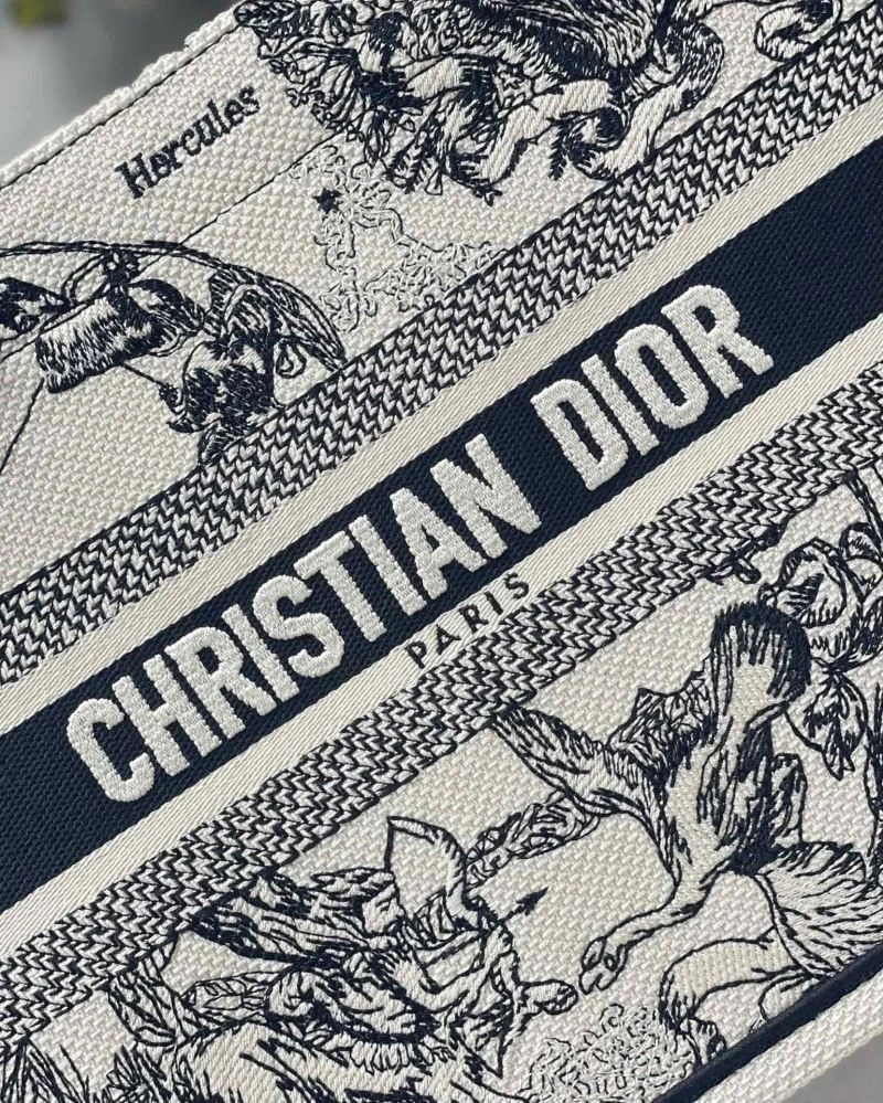 Neat Christian Dior Shopping Bags 75608