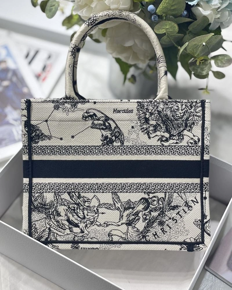 Neat Christian Dior Shopping Bags 75608