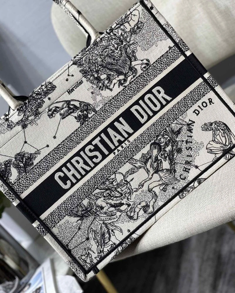 Christian Dior Shopping Bags Elegant 75593