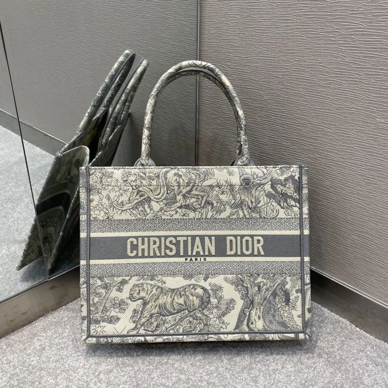Practical Christian Dior Shopping Bags 75595