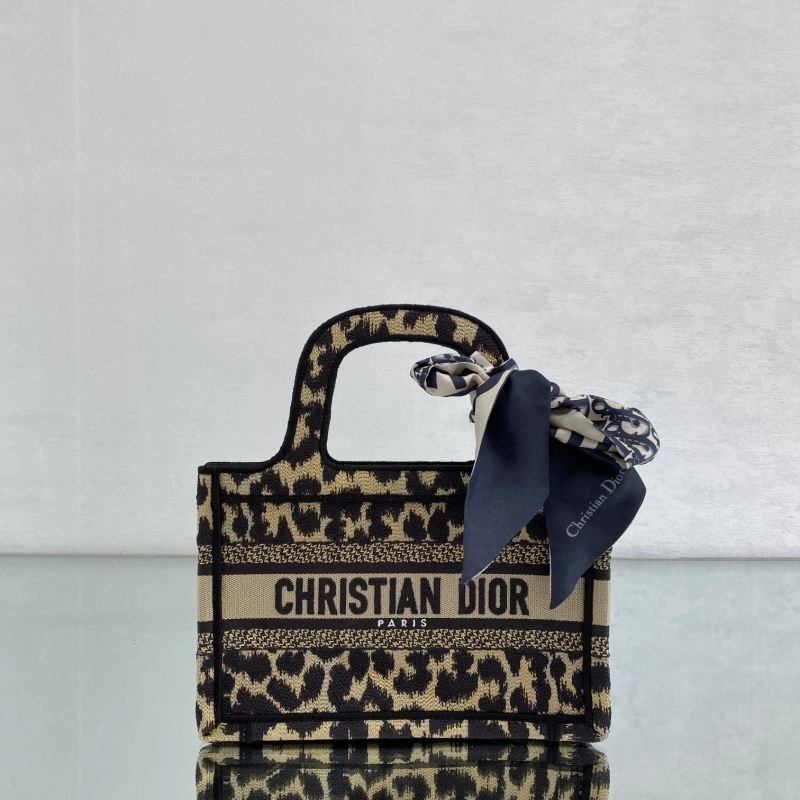Bold Christian Dior Shopping Bags 75591