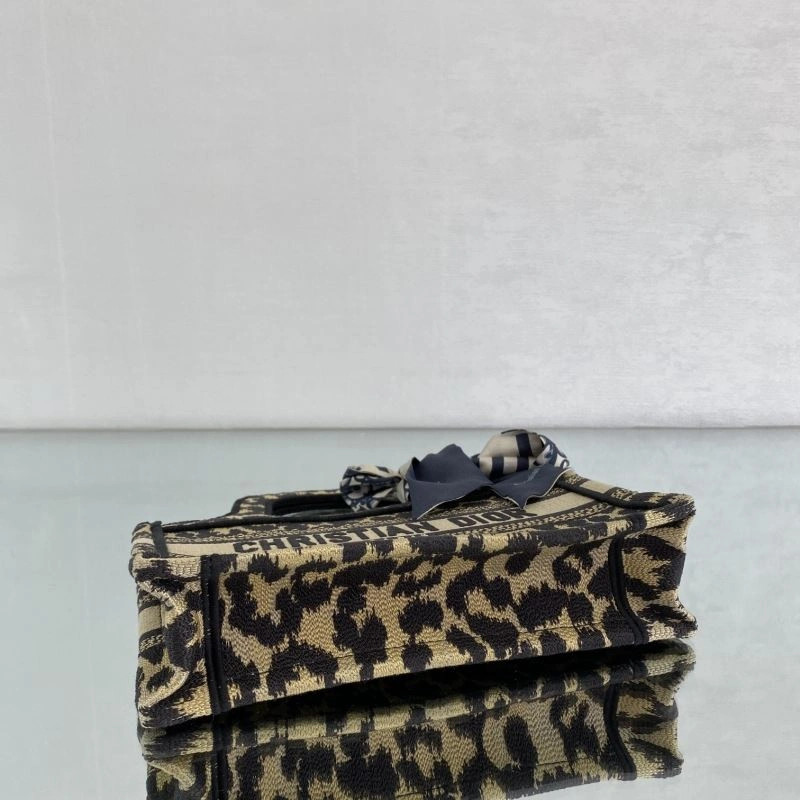 Bold Christian Dior Shopping Bags 75591