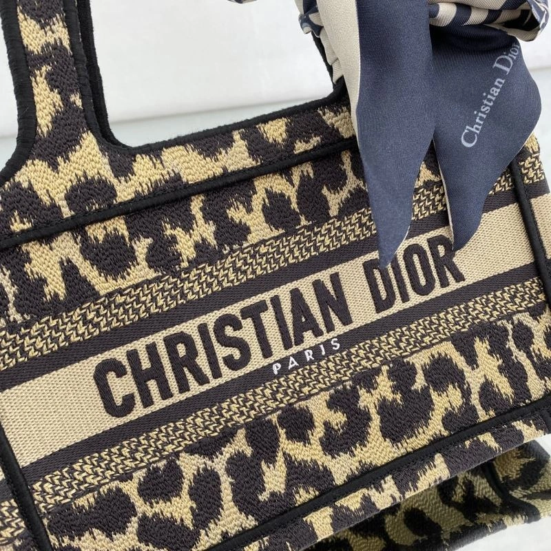 Bold Christian Dior Shopping Bags 75591