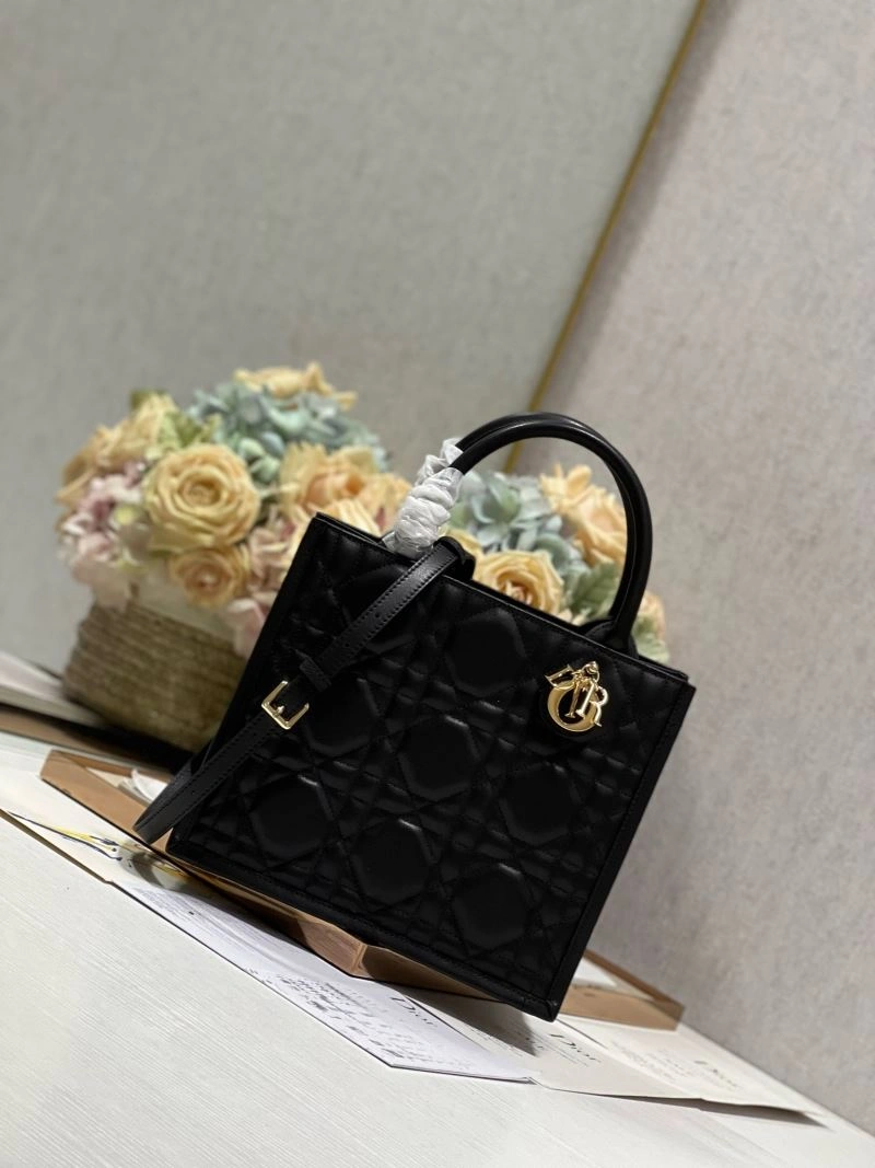 DailyWear Christian Dior Shopping Bags 75556