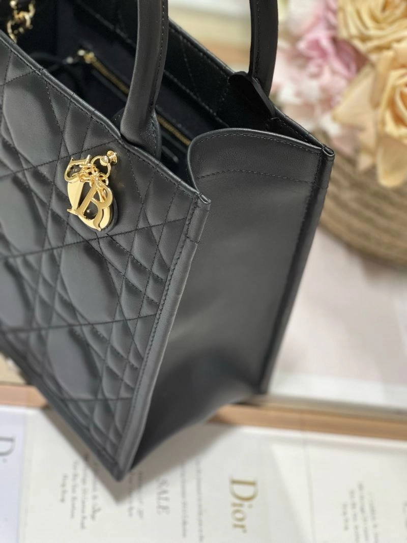 DailyWear Christian Dior Shopping Bags 75556