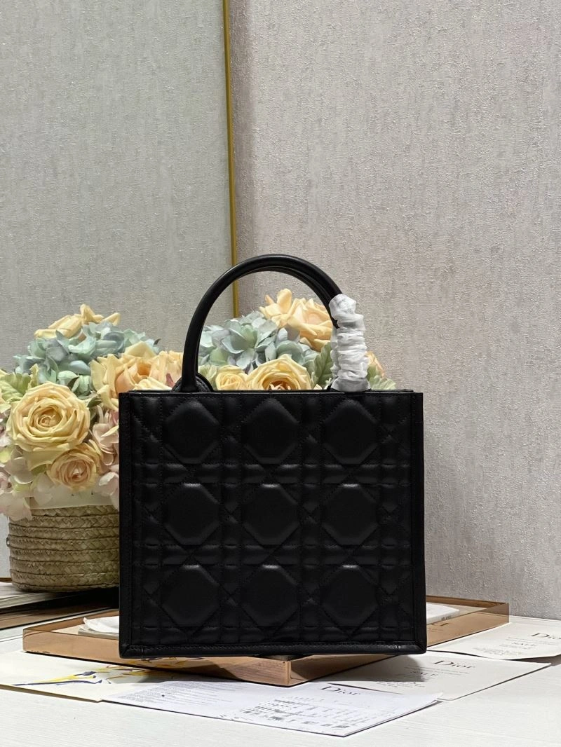 DailyWear Christian Dior Shopping Bags 75556
