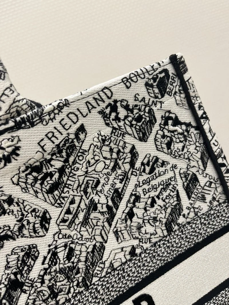 Sustainable Christian Dior Shopping Bags 75521