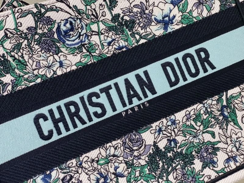 StreetReady Christian Dior Shopping Bags 75501