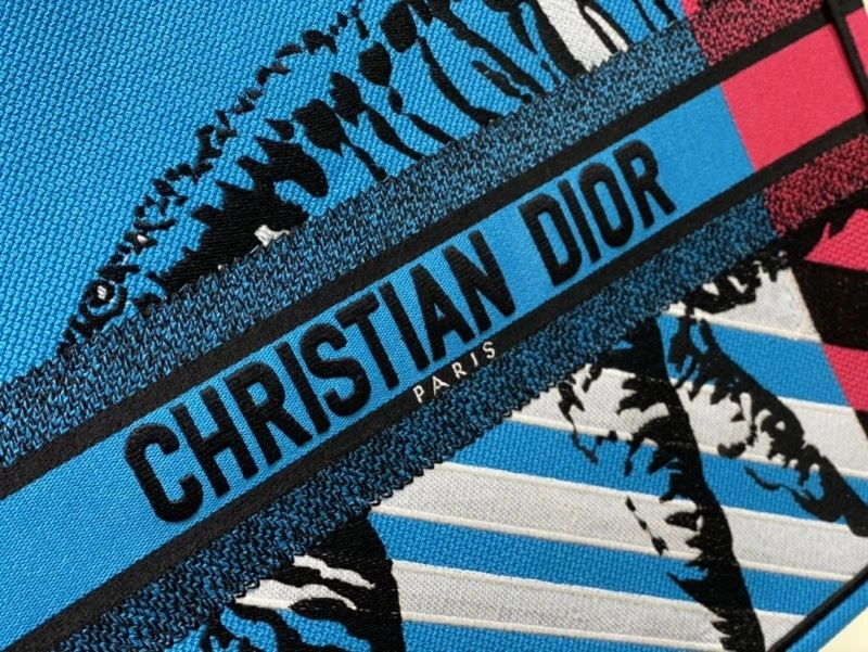 Modern Christian Dior Shopping Bags 73906