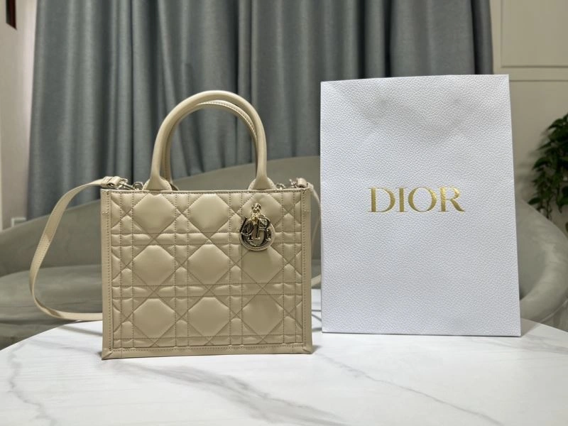 Modern Christian Dior Shopping Bags 73896