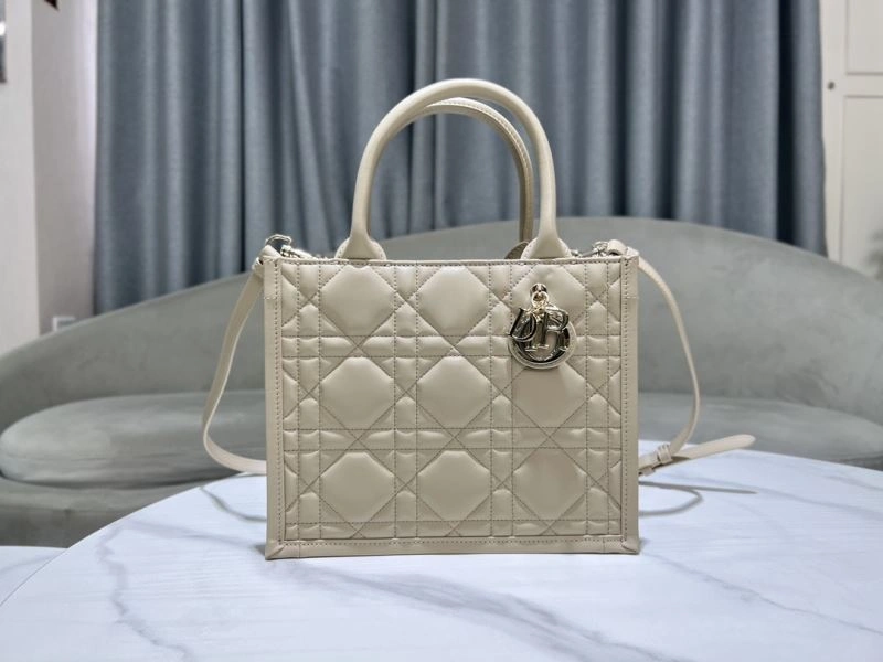 Modern Christian Dior Shopping Bags 73896