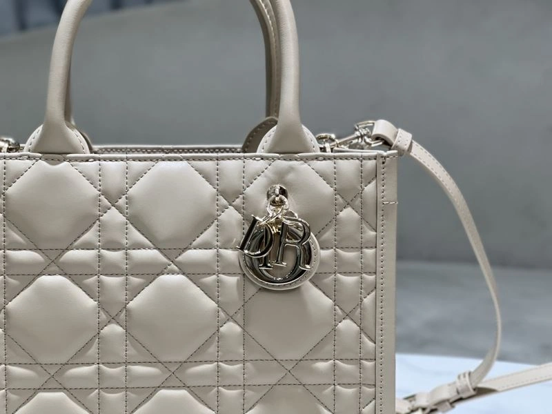 Modern Christian Dior Shopping Bags 73896