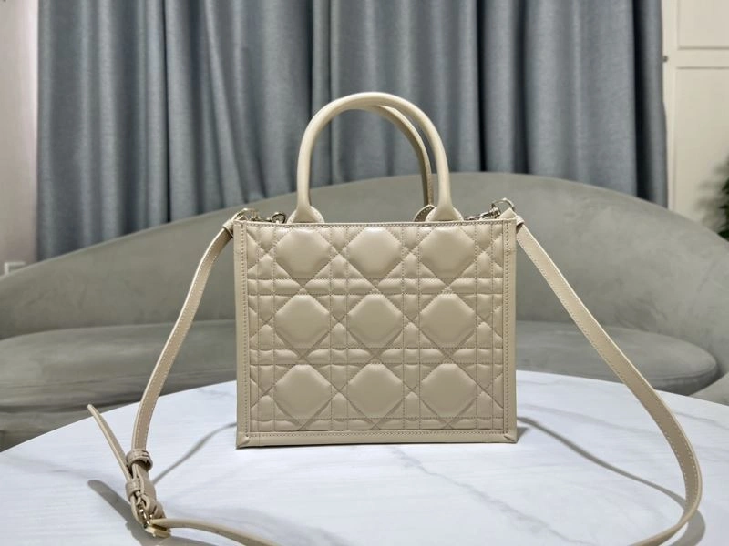 Modern Christian Dior Shopping Bags 73896