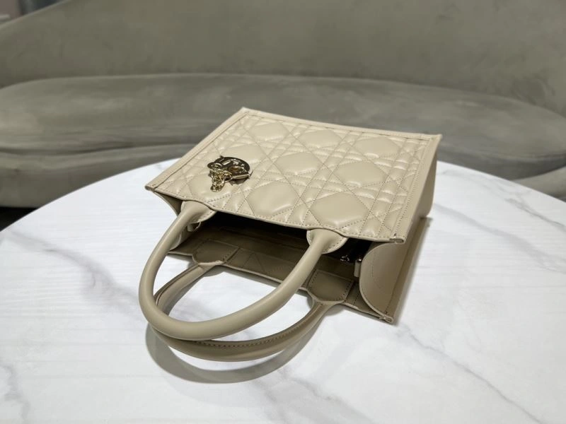 Modern Christian Dior Shopping Bags 73896