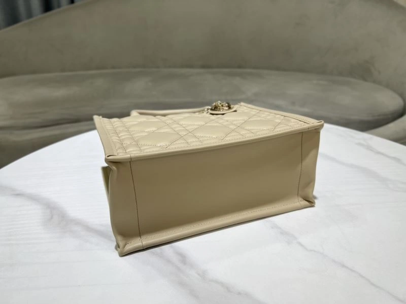 Modern Christian Dior Shopping Bags 73896