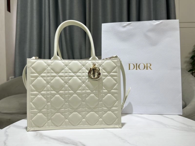Christian Dior Shopping Bags WeatherProof 73889