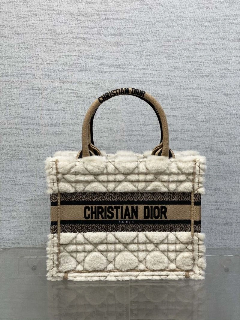 Christian Dior Shopping Bags Affordable 73878
