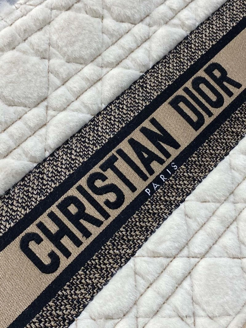StreetReady Christian Dior Shopping Bags 73877