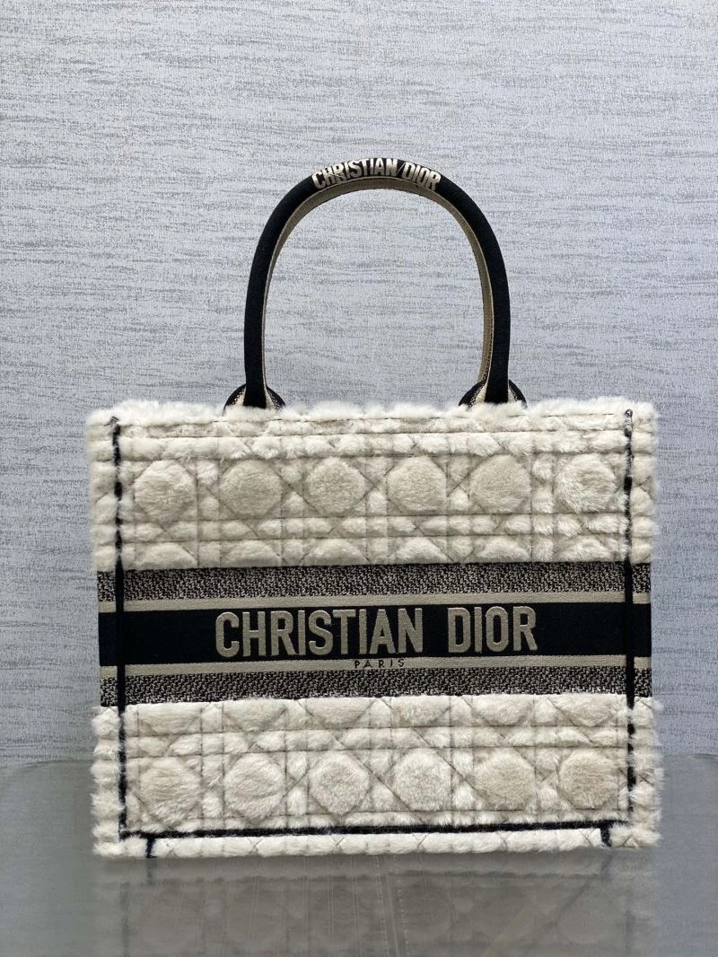 Packable Christian Dior Shopping Bags 73876