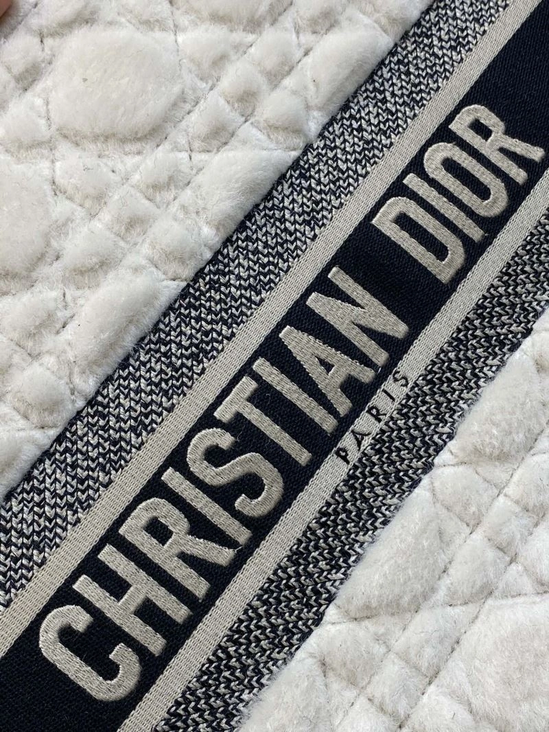 Packable Christian Dior Shopping Bags 73876
