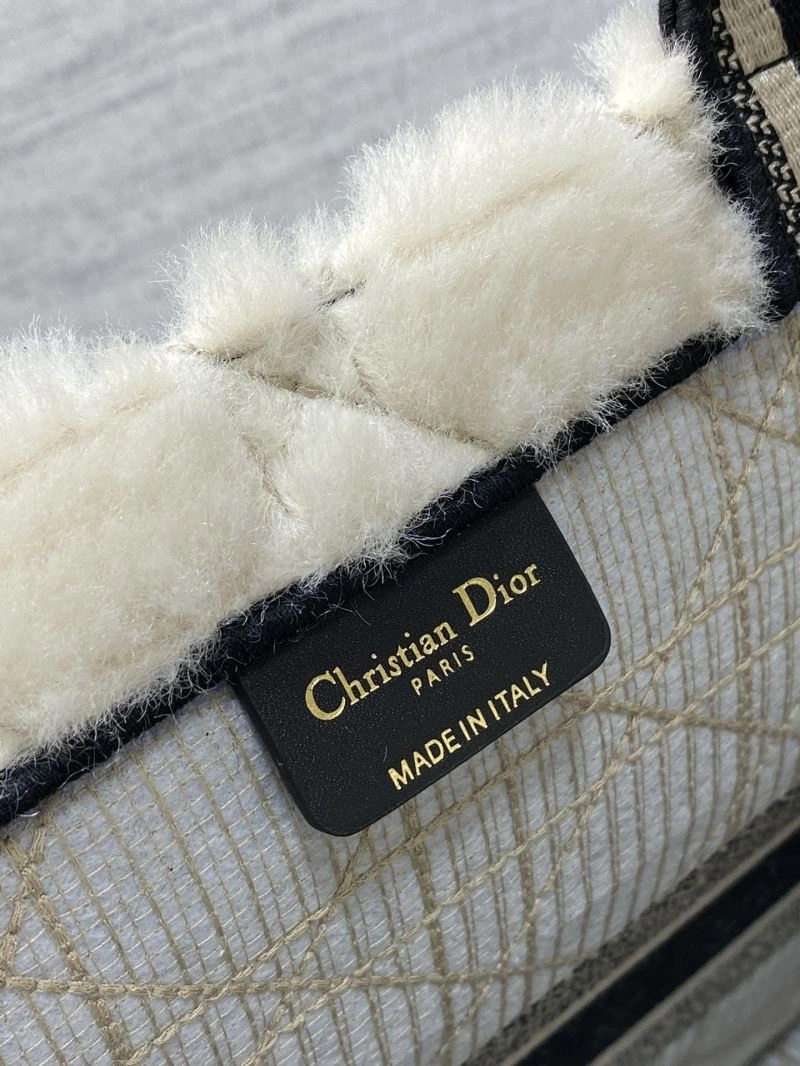 Youthful Christian Dior Shopping Bags 73880