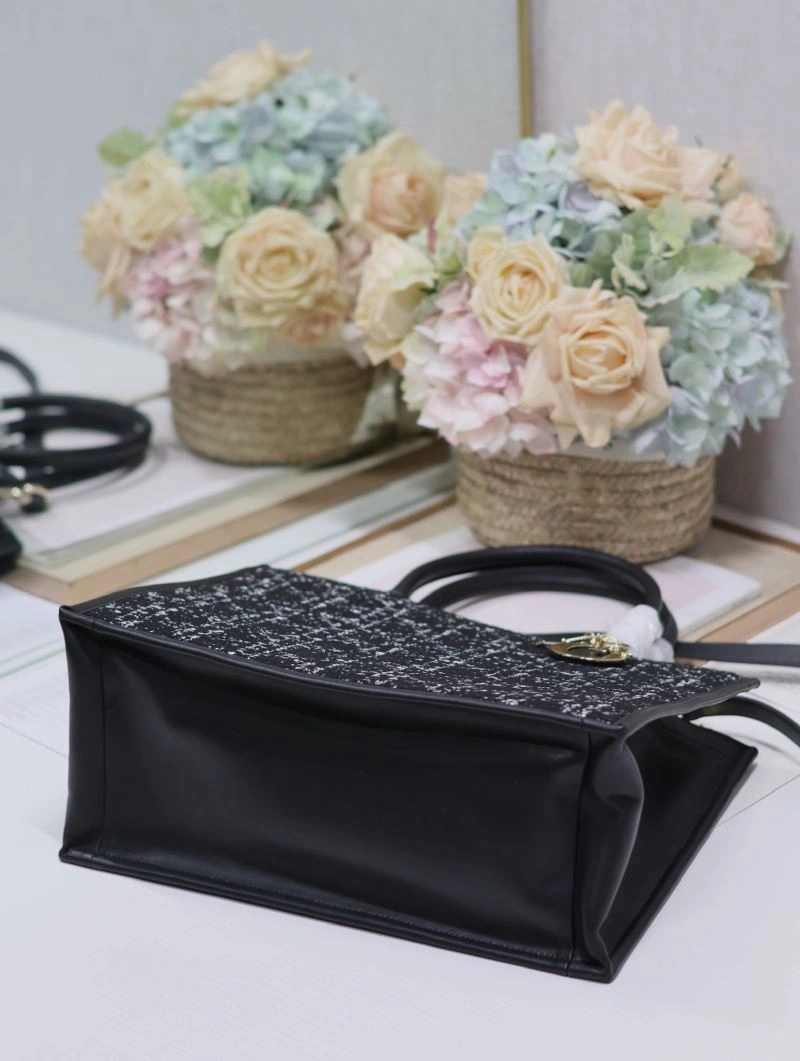 Colorful Christian Dior Shopping Bags 73842