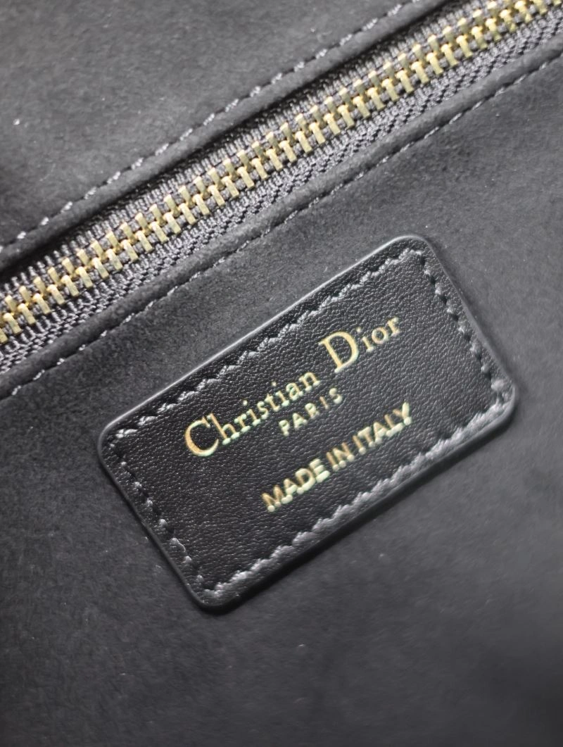 Colorful Christian Dior Shopping Bags 73842