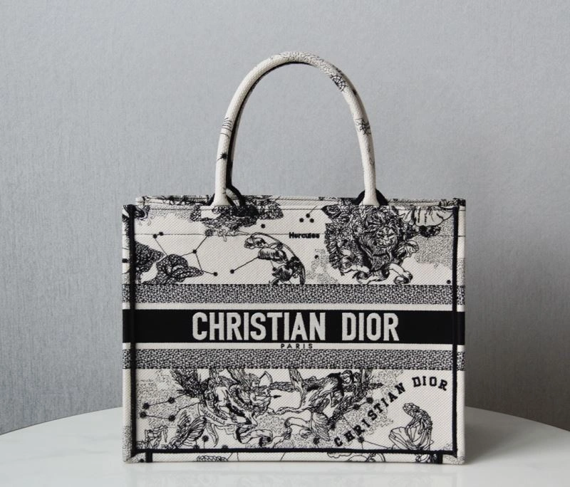 Minimalist Christian Dior Shopping Bags 70505