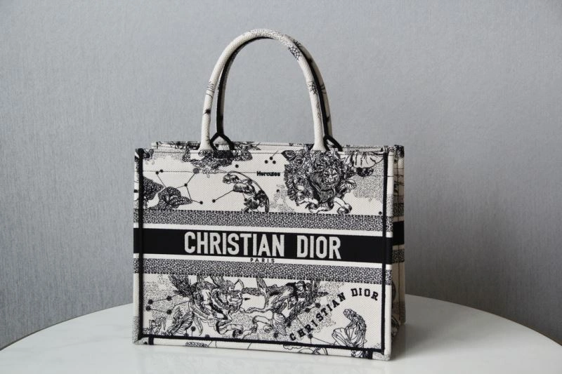 Minimalist Christian Dior Shopping Bags 70505