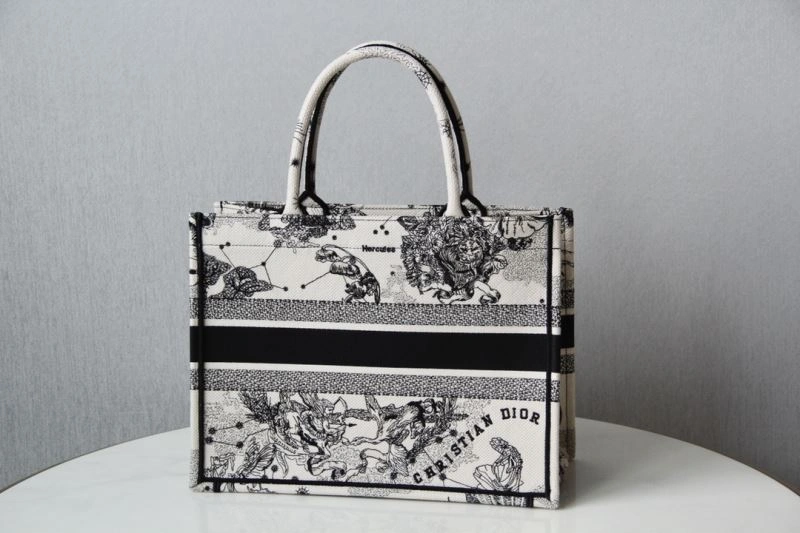 Minimalist Christian Dior Shopping Bags 70505