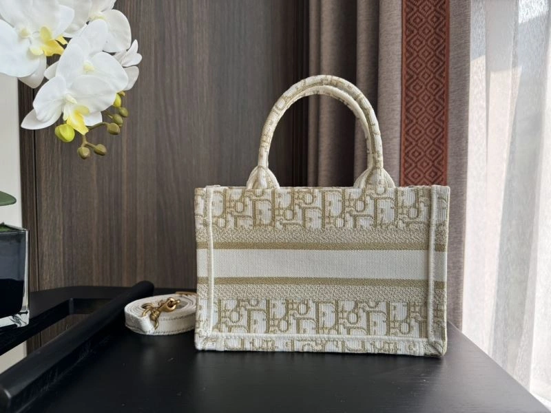 Premium Christian Dior Shopping Bags 70493