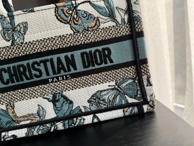 EyeCatching Christian Dior Shopping Bags 70451